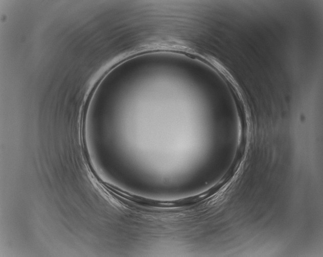 X0000056371246200508291352