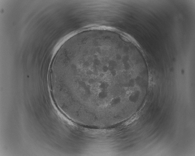 X0000056371247200508291352