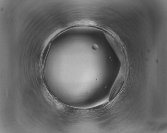 X0000056371248200508291352