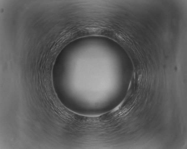 X0000056371249200508291352