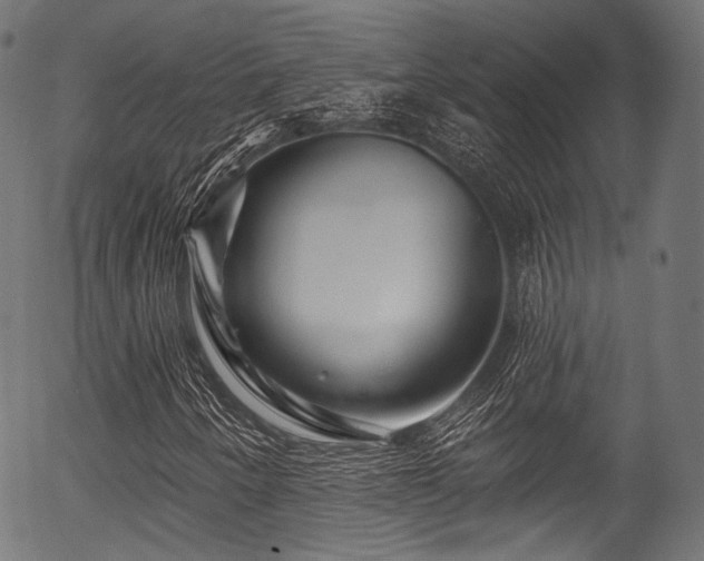 X0000056371250200508291352