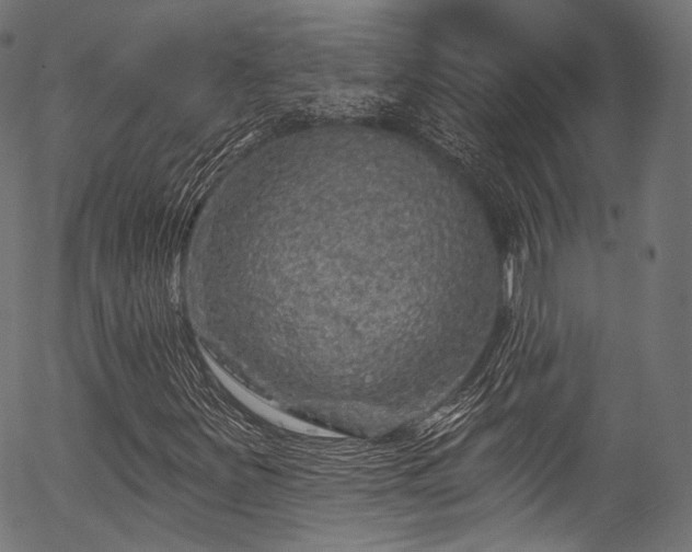 X0000056371251200508291351