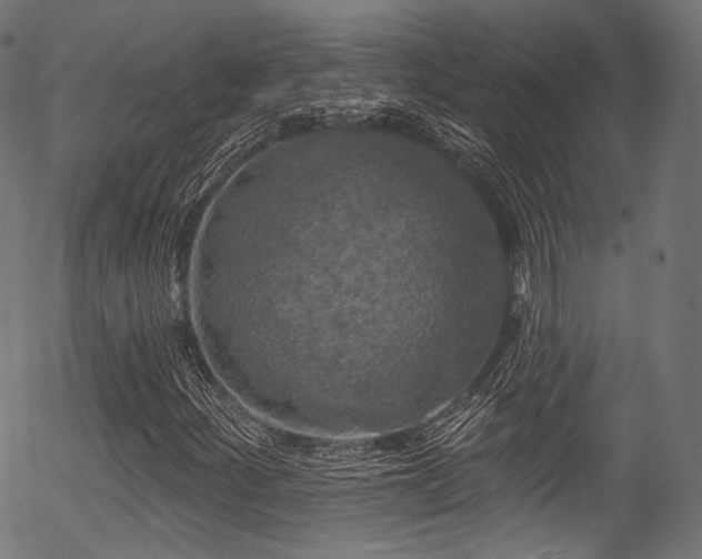 X0000056371252200508291351