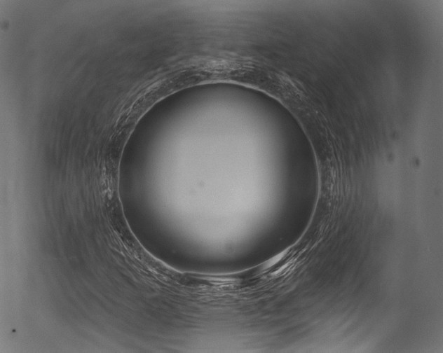 X0000056371253200508291351