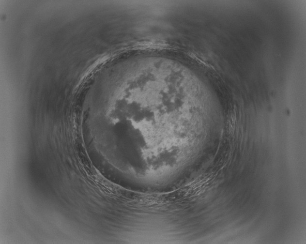 X0000056371254200508291351