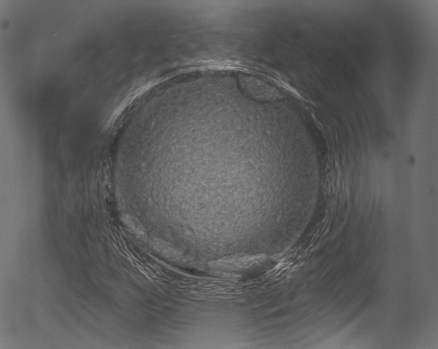 X0000056371255200508291351