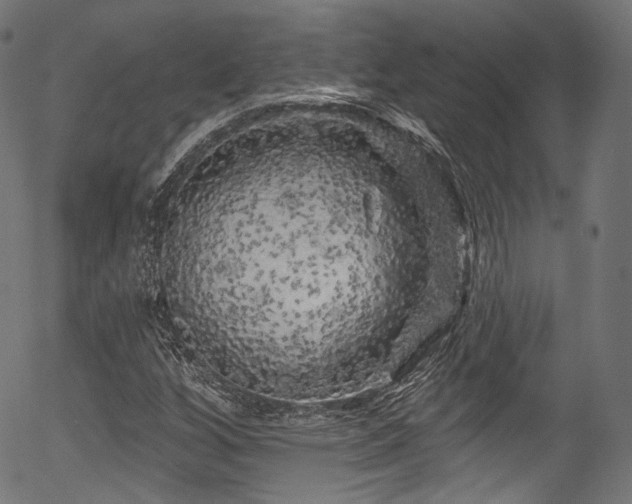 X0000056371256200508291351