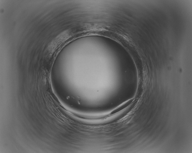 X0000056371257200508291351