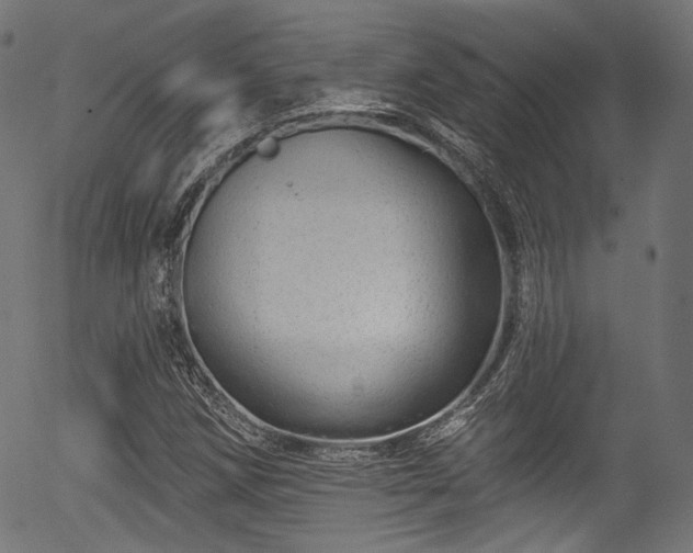 X0000056371258200508291351