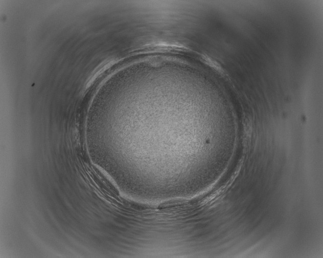 X0000056371259200508291351