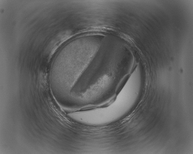 X0000056371260200508291351