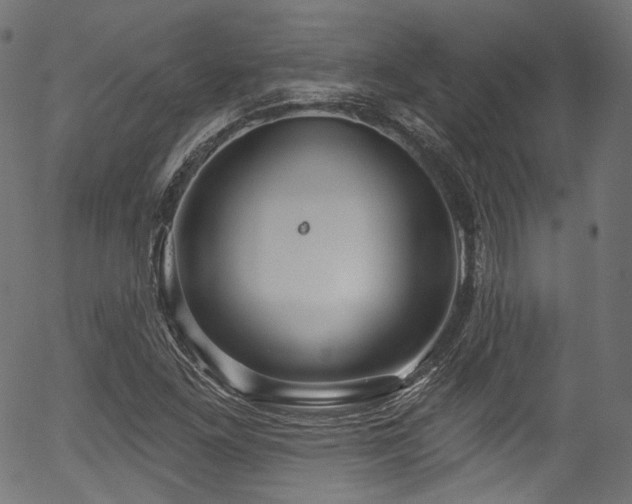 X0000056371261200508291351