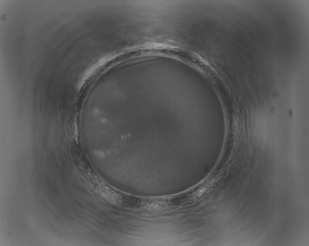 X0000056371262200508291351