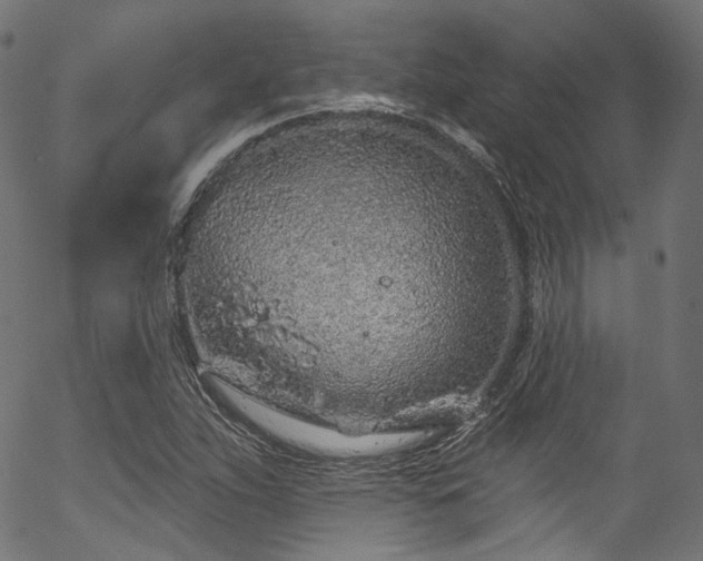 X0000056371263200508291351