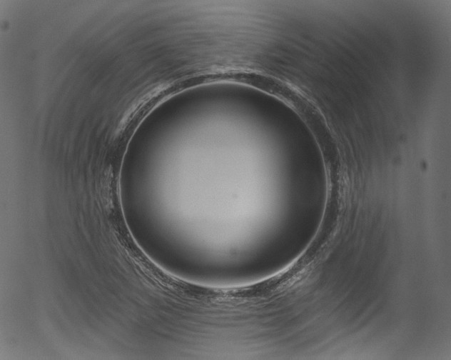 X0000056371265200508291351