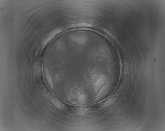 X0000056371266200508291351