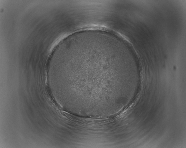 X0000056371267200508291351