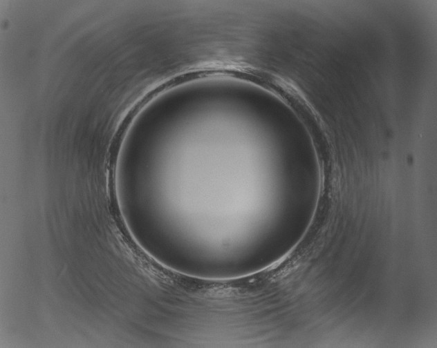 X0000056371268200508291351