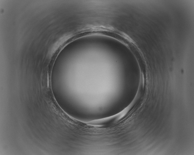 X0000056371269200508291351