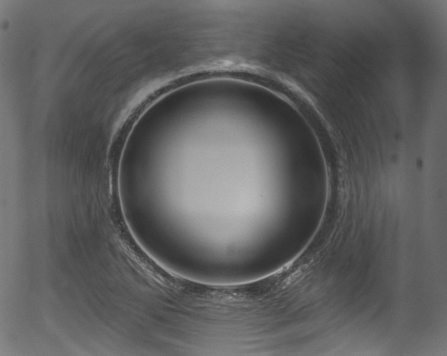 X0000056371270200508291351