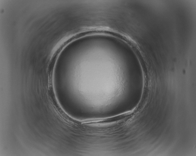 X0000056371271200508291351