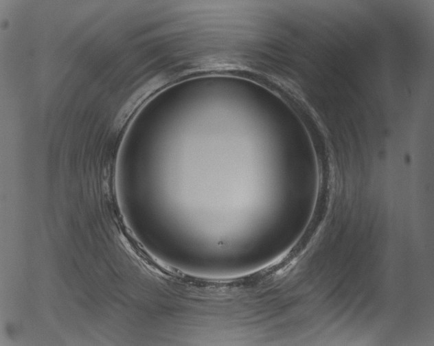 X0000056371273200508291351