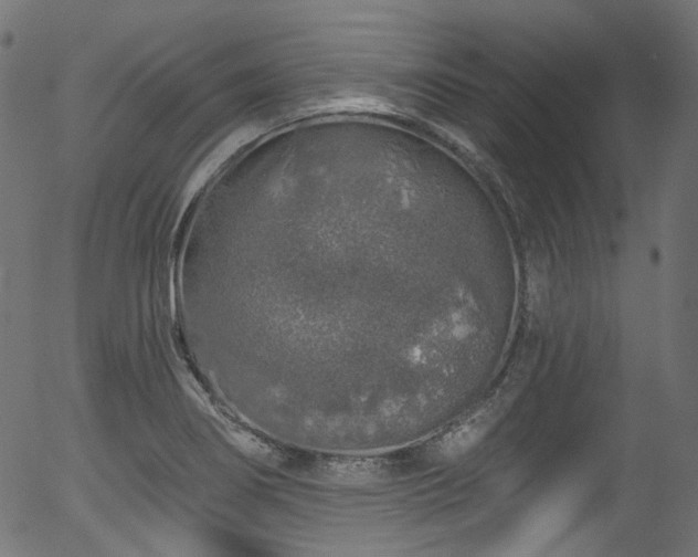 X0000056371274200508291351