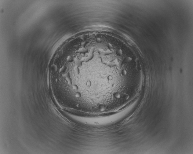 X0000056371275200508291351