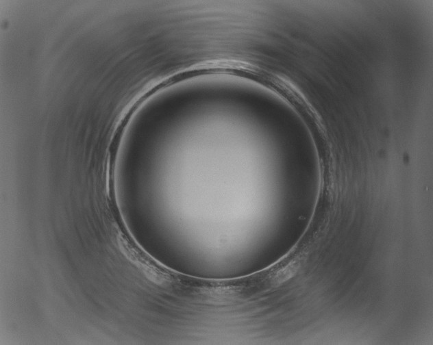 X0000056371276200508291351