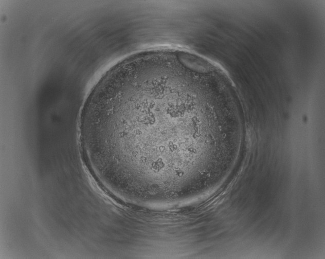 X0000056371279200508291351