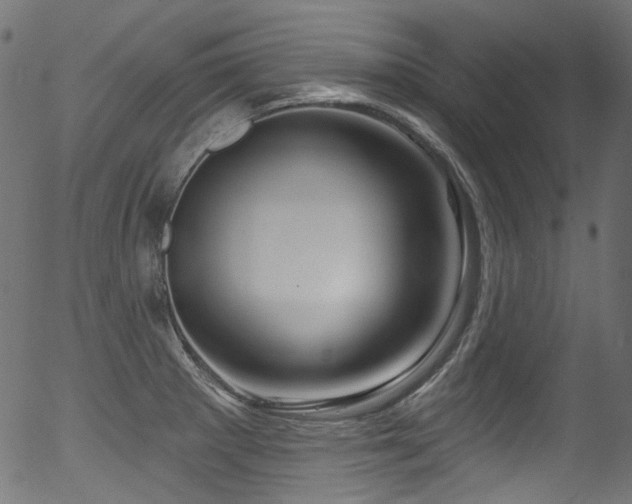 X0000056371281200508291351