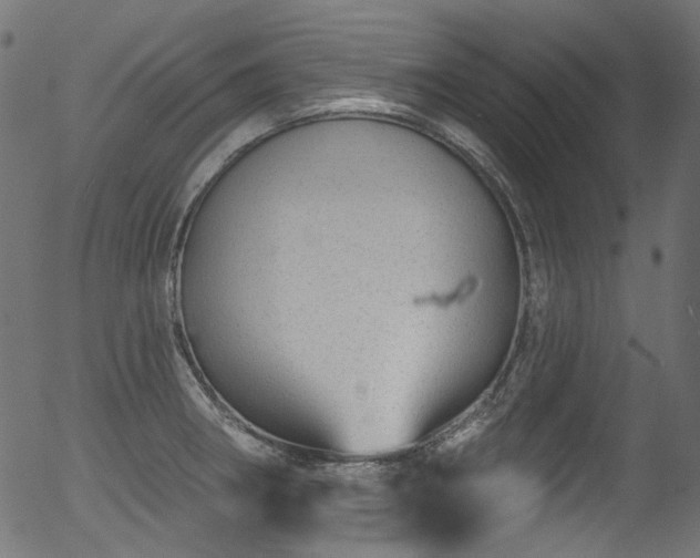 X0000056371282200508291351