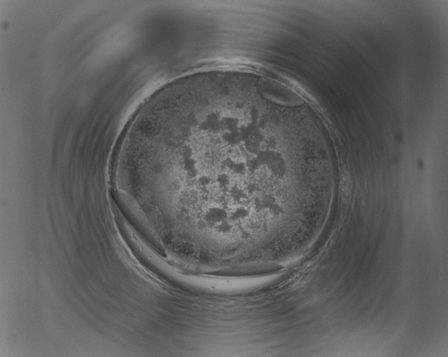 X0000056371283200508291351