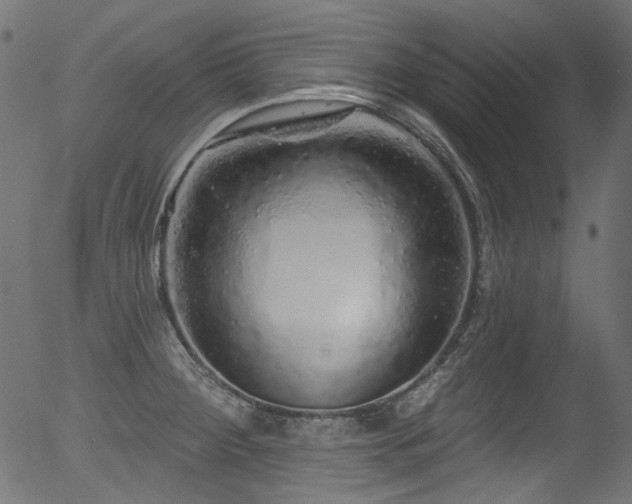 X0000056371284200508291351