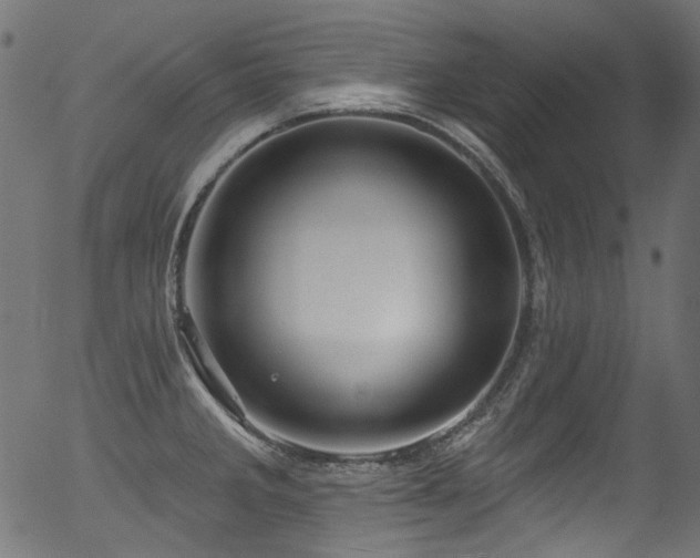 X0000056371285200508291351