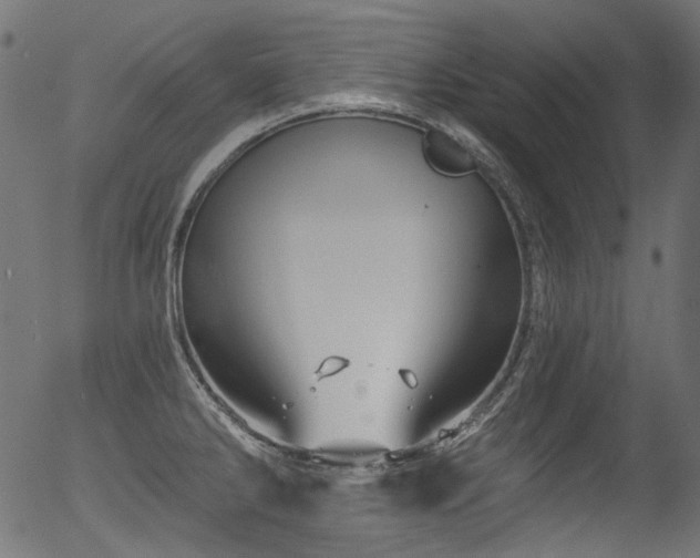 X0000056371286200508291351