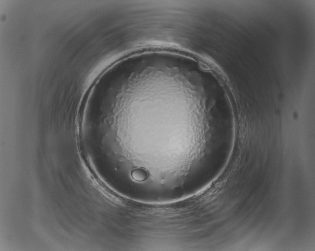 X0000056371287200508291351