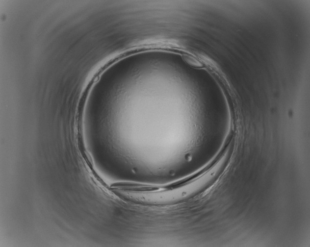 X0000056371288200508291351