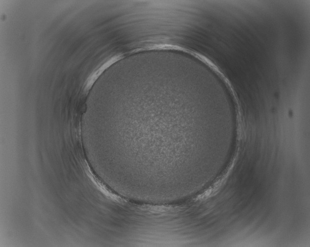 X0000056371289200508291351