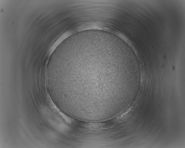 X0000056371290200508291351