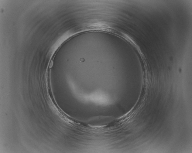 X0000056371291200508291351