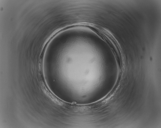 X0000056371292200508291351