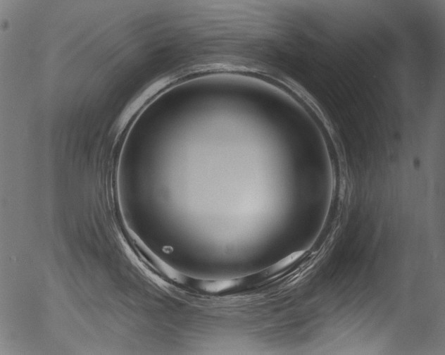 X0000056371293200508291351