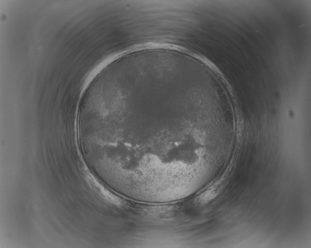 X0000056371294200508291351