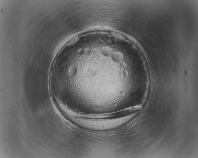 X0000056371295200508291351