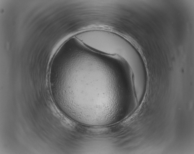 X0000056371296200508291351