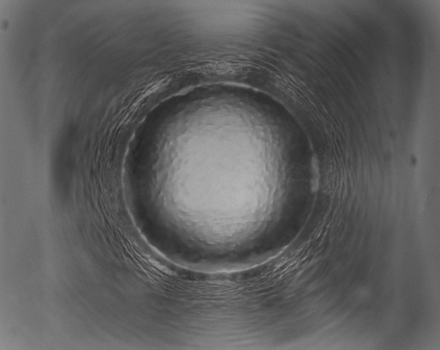 X0000056371297200508291350