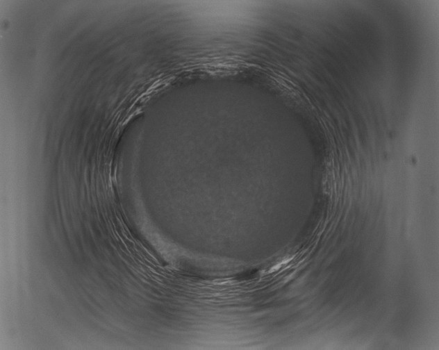 X0000056371298200508291350