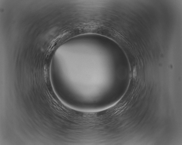 X0000056371299200508291350