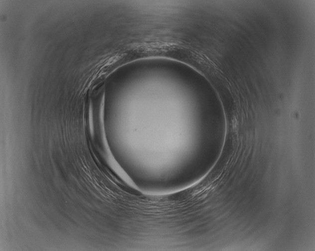 X0000056371300200508291350